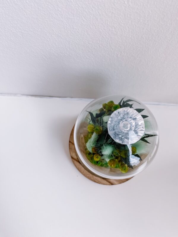 decoratie met droogbloemen