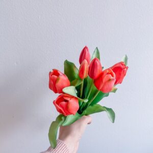 kunst tulpen