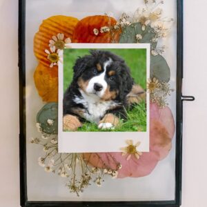 Herinnering aan huisdier met droogbloemen huisdier foto cadeau