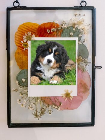Herinnering aan huisdier met droogbloemen huisdier foto cadeau