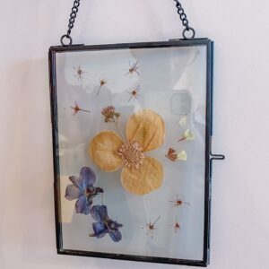 droogbloemen aan de muur