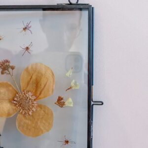 droogbloemen aan de muur