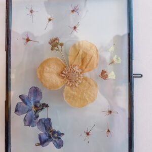 droogbloemen aan de muur
