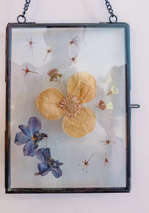 droogbloemen aan de muur