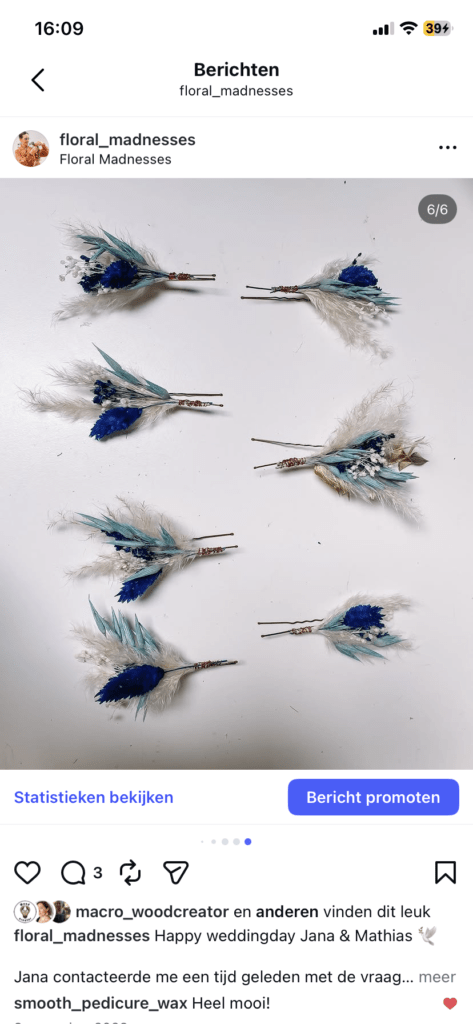 haarspeldjes met droogbloemen