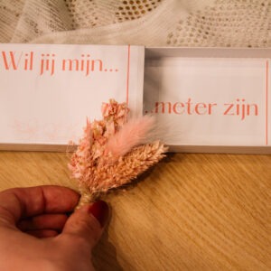 getuige vragen
